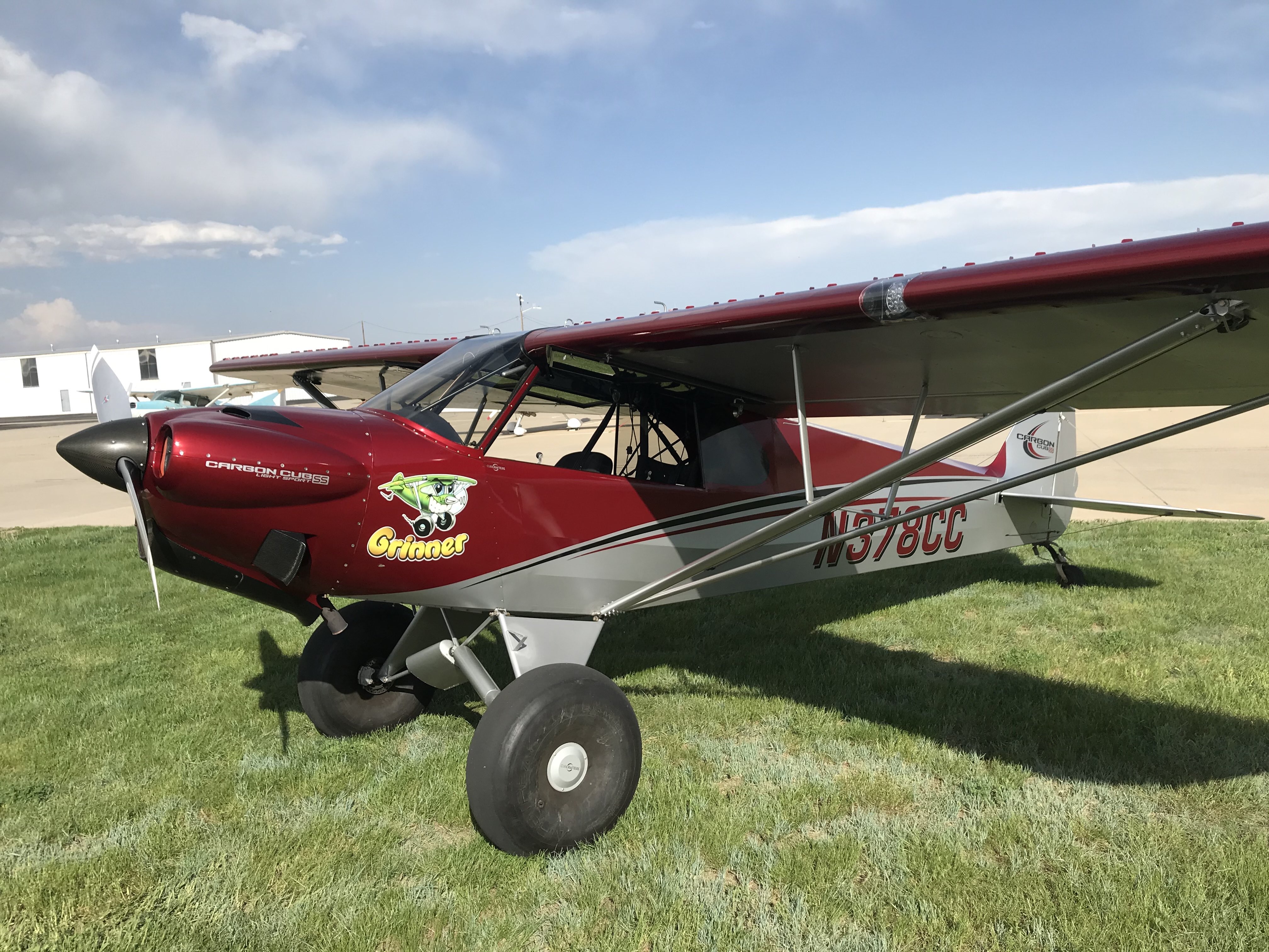 2013 Carbon Cub SS